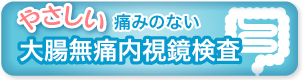 やさしい痛みのない大腸無痛内視鏡検査